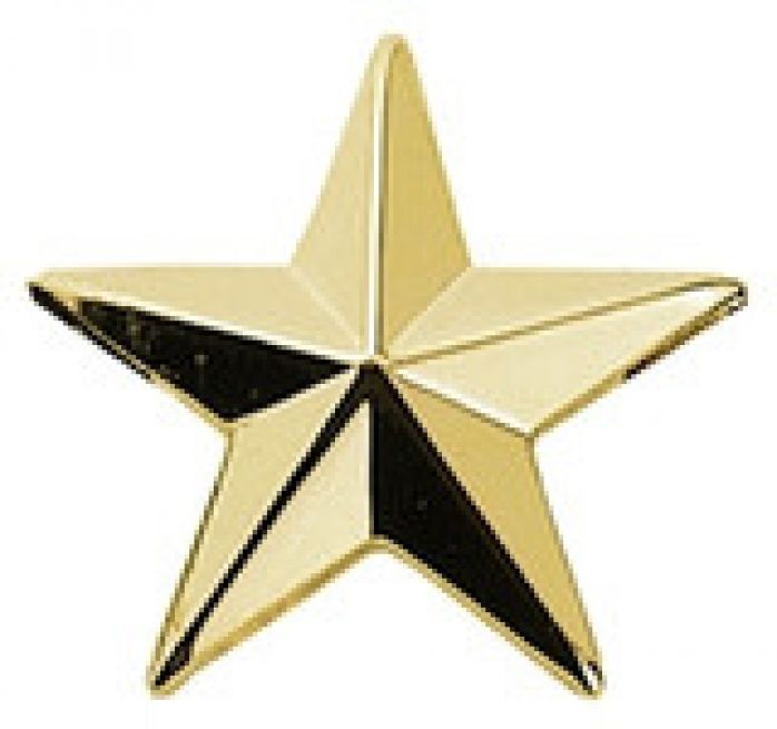 1 - STAR COLLAR PINS, 1
